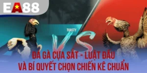 Đá gà cựa sắt tại EA88 mang lại những phút giây giải trí kịch tính cho người xem. Để tham gia bạn sẽ phải nắm rõ luật đấu cùng cách chọn lựa chiến kê dũng mãnh nhất.